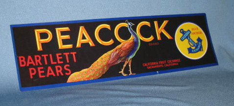 Peacock Bartlett Pears fruit crate label