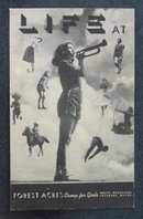 Forest Acres Camp for Girls, Fryeburg ME postcard