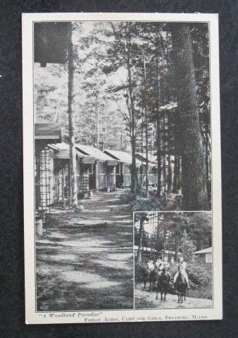 A Woodland Paradise, Forest Acres, Camp for Girls, Fryeburg ME postcard