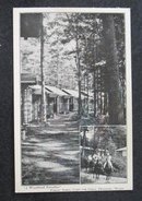 A Woodland Paradise, Forest Acres, Camp for Girls, Fryeburg ME postcard