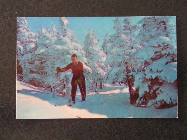 Skiers at start of Taft Slalom Trail, Franconia Notch, NH postcard