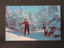 Skiers at start of Taft Slalom Trail, Franconia Notch, NH postcard