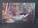 The Basin and Old Man's Foot, Franconia Notch, NH postcard