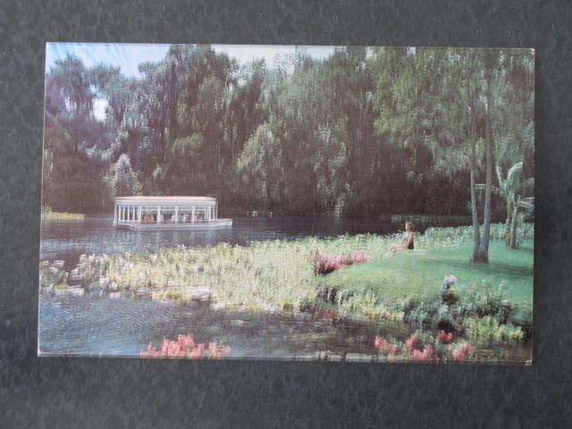 Florida's Silver Springs - Silver River Glass Bottom Boat postcard