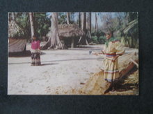 Florida's Silver Springs - Seminole Village at Ross Allen's postcard