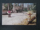 Florida's Silver Springs - Seminole Village at Ross Allen's postcard