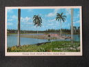 Flamingo Island, Hialeah Race Course, Hialeah, FL postcard