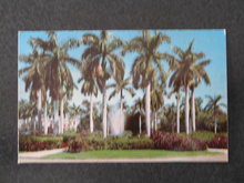 Royal Palms and Fountain Scene in Sunny Florida postcard