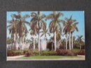 Royal Palms and Fountain Scene in Sunny Florida postcard