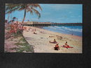 Sun and Surf Bathing at the Palm Beaches, Florida postcard