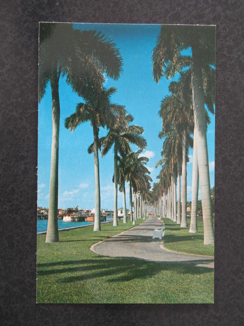 Beautiful Lake Trail along the Palm Beach Yacht Basin, Palm Beach, Florida postcard