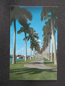 Beautiful Lake Trail along the Palm Beach Yacht Basin, Palm Beach, Florida postcard