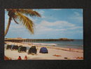 The beautiful Beach and Pier, Palm Beach, Florida postcard