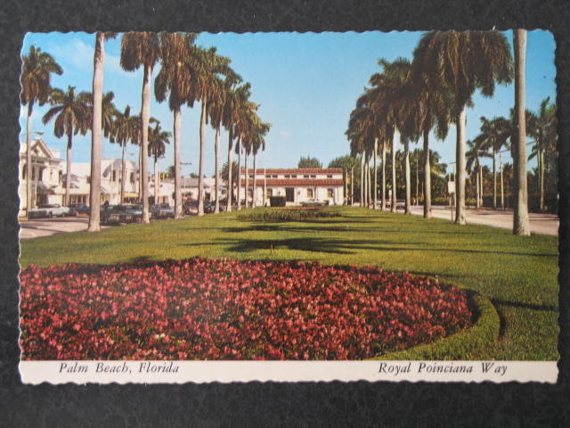 Royal Poinciana Way, Palm Beach, Florida postcard
