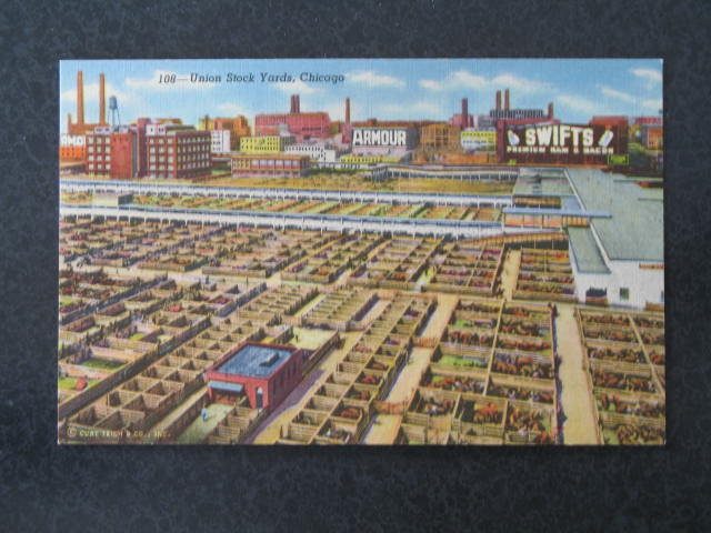 Union Stockyards, Chicago, IL postcard