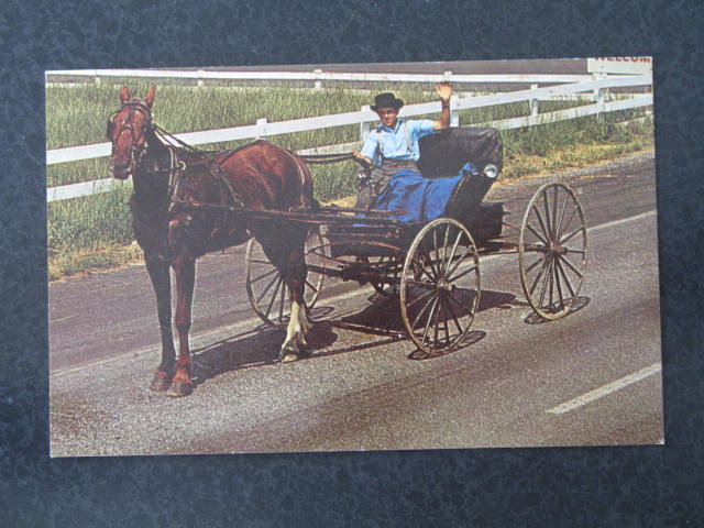 Amish Courting Buggy, Witmer, PA postcard