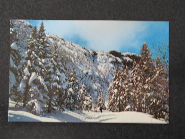 Toll Road, Mt. Mansfield, Stowe VT postcard