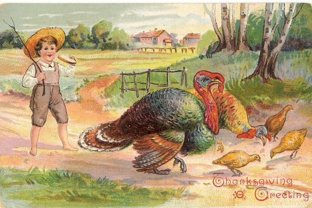 Thanksgiving Greeting postcard