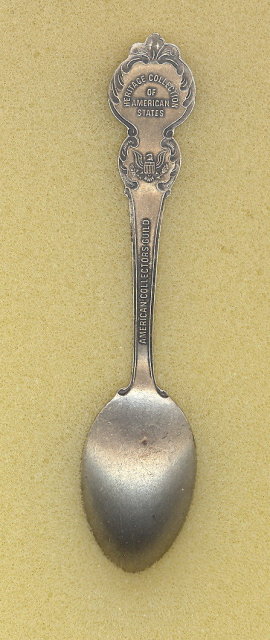 American Collectors Guild District of Columbia spoon