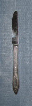 Oneida Debutante/ Grandeur/ Princess modern hollow grille knife