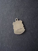 Silver Charm DERBY