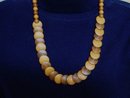 Uncommon Amber Necklace Two Tone
