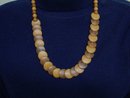 Uncommon Amber Necklace Two Tone