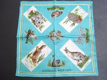 Souvenir Handkerchief Australian Wild Life
