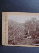 Antique Stereoview Stereoscopic Card Iceland