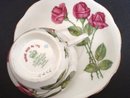 Royal Standard Teacup and Saucer Three Red Roses