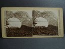 Antique Stereoview Stereoscopic Card Iceland - Nature's Creation