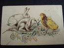 Easter Postcard - Adorable - Easter Greetings