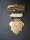Ancient Order of Foresters Member Badge - Court Golden City No 8759