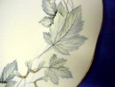 Royal Albert Dinner Plate SILVER MAPLE