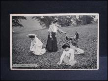 1906 Real Photo Postcard Forest Flowers