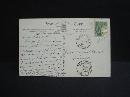 1906 Real Photo Postcard Forest Flowers