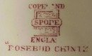 Copeland Spode Lge. Dinner Plate ROSEBUD CHINTZ