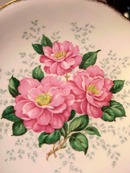 Queen Anne Plate CAMELLIA