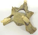 Inuit - Eskimo Art CARVING
