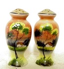 Noritake Style Salt&Pepper