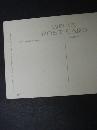 Postcard by Mabel Lucie Attwell Signed - Genuine Valentine's Attwell