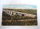 Real Phot Mendota Bridge Showing Fort Snelling in Distance