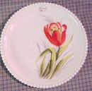 Hand Dec.Westmoreland Plate