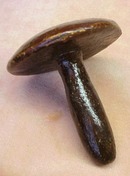 Early 1900's Sock Darner