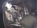 Vintage Silver Overlay Bowl Silver Poppies