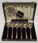BEAUTIFUL SILVER DESERT SET