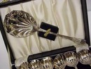 BEAUTIFUL SILVER DESERT SET