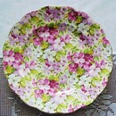 Royal Standard CHINTZ 7