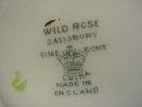 Salisbury Crown China Cup & Saucer
