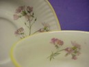 Elizabethan Staffordshire Cup & Saucer Hand